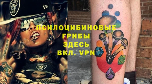 круглые Корсаков