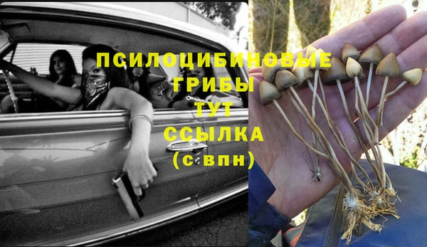 круглые Корсаков