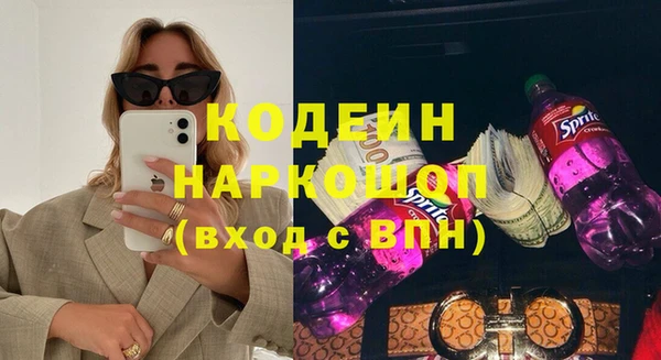 круглые Корсаков