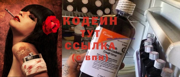 круглые Корсаков