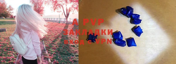 круглые Корсаков