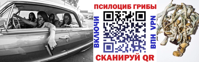 Псилоцибиновые грибы ЛСД  Купить где  Стрежевой 